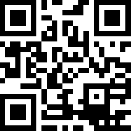 the qr code